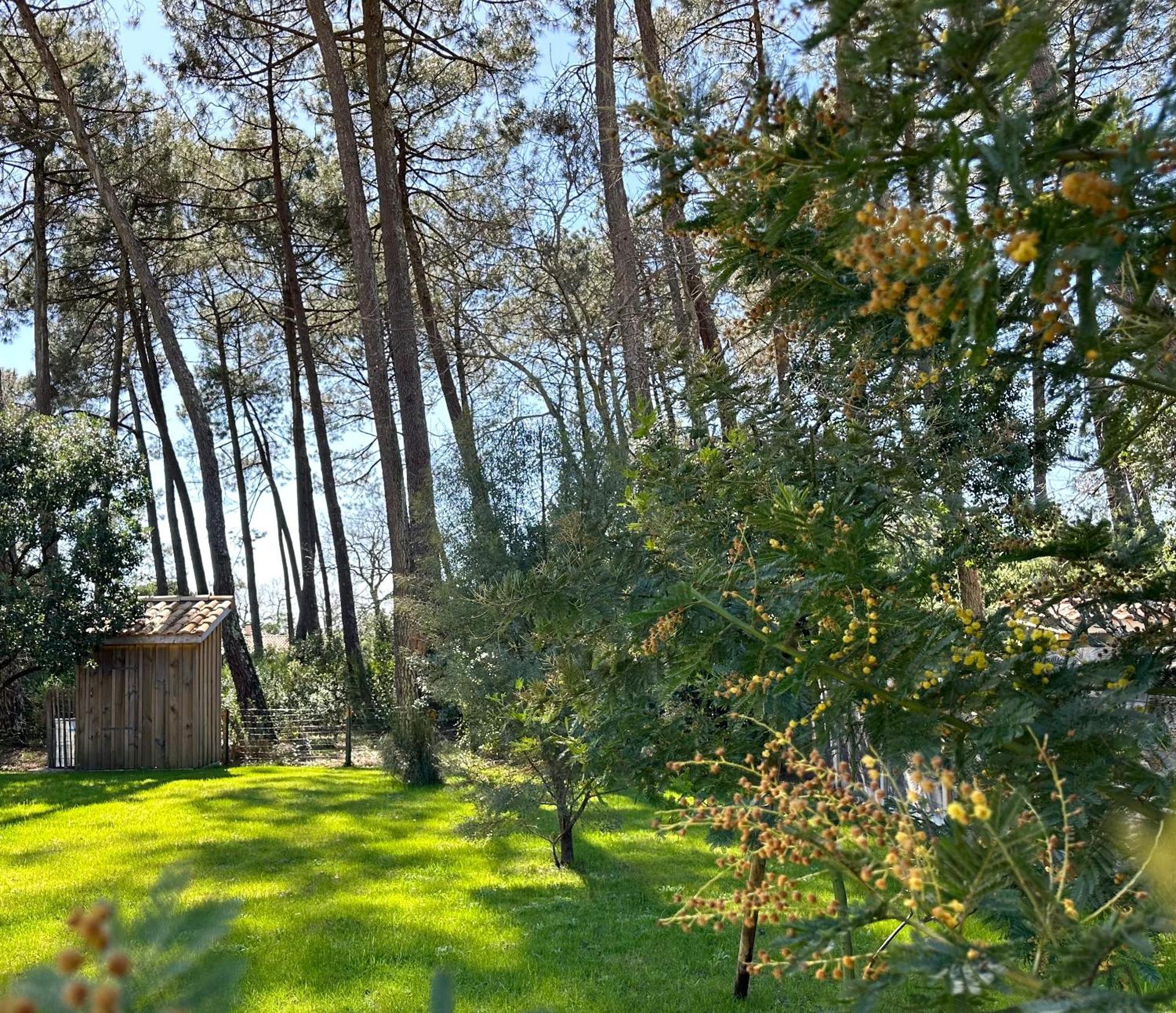 Villa Sophie Lanton Extérieur photo